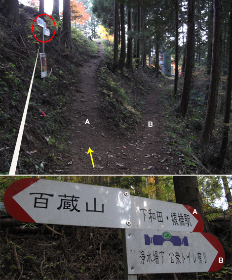 20161117hike (309)